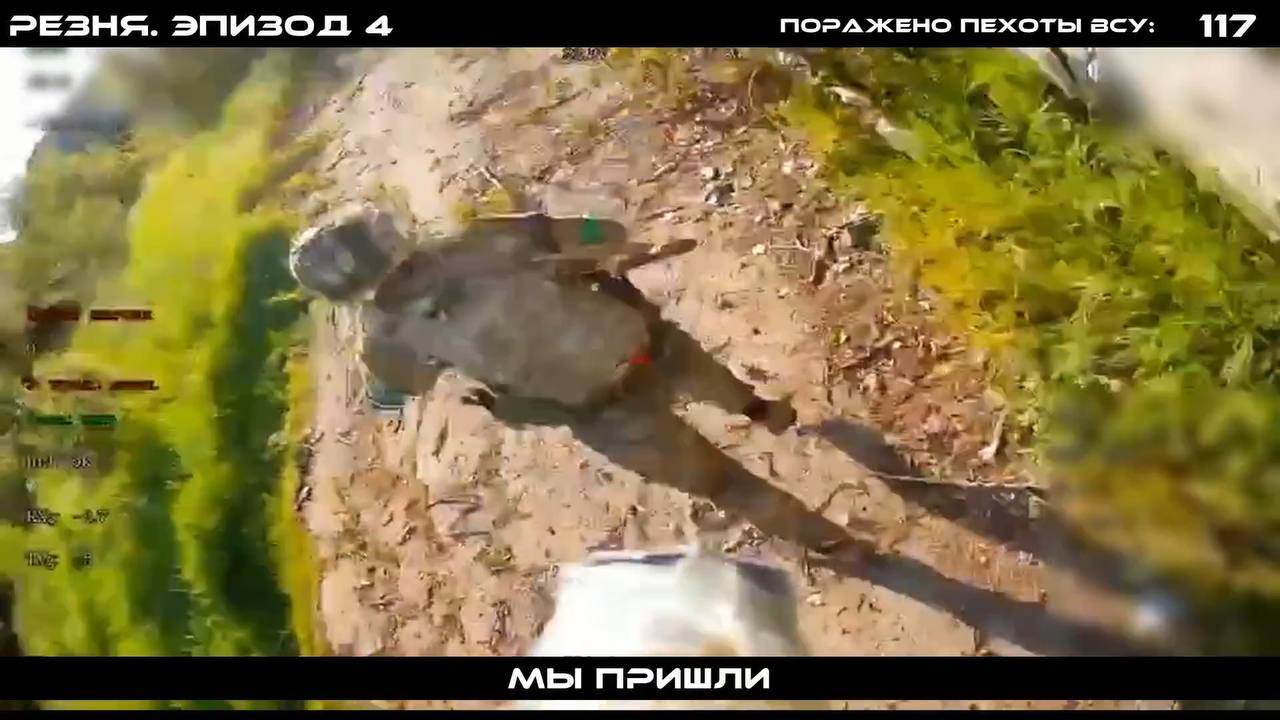Изображение публикации 23c57732-9f51-4510-94d1-70dc3d73da1e