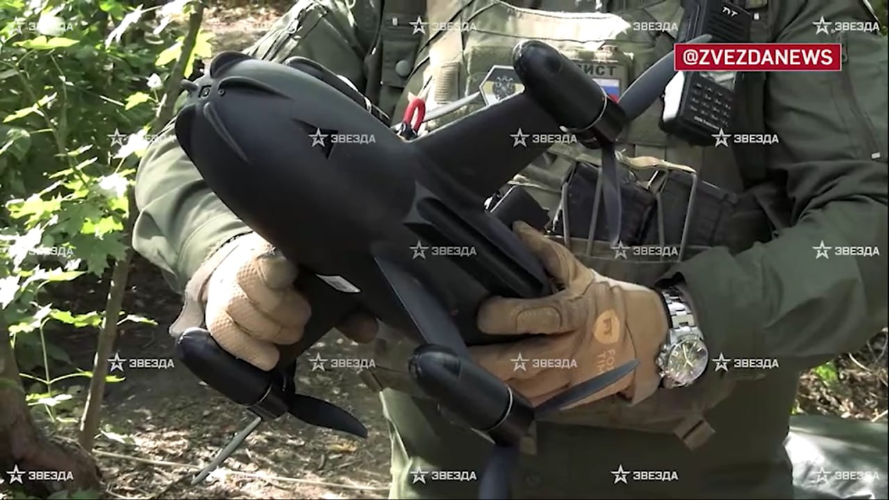 Изображение публикации 2919495e-3496-4236-9631-0da2431cbd24