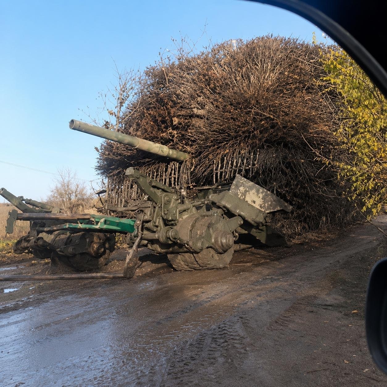 Изображение публикации 2d72358d-2ccc-4f94-b144-046cff47960c