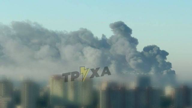 Изображение публикации 5209aa77-21e9-4698-afed-51c93bc1d4eb