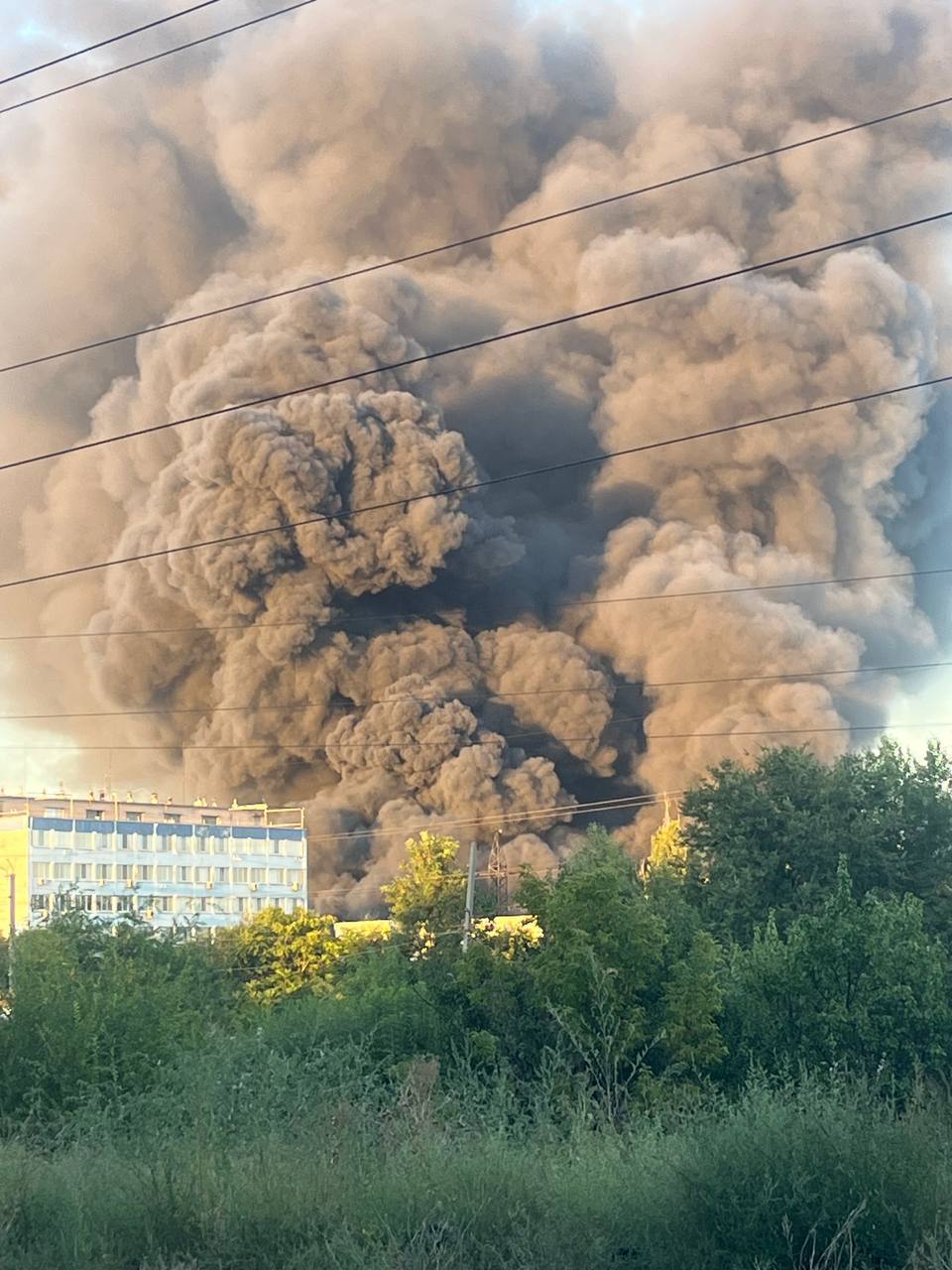 Изображение публикации 5ff83e34-8c2d-44d7-87bd-99b759f91caa