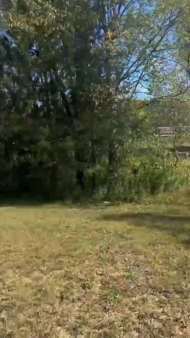 Превью видео