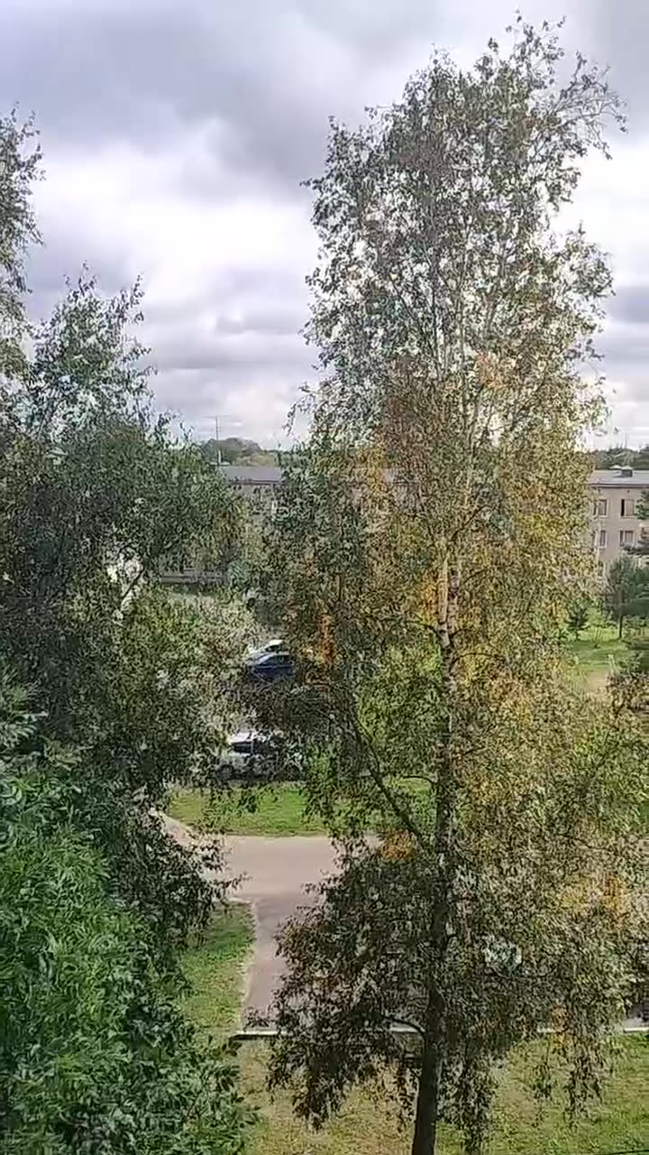 Превью видео