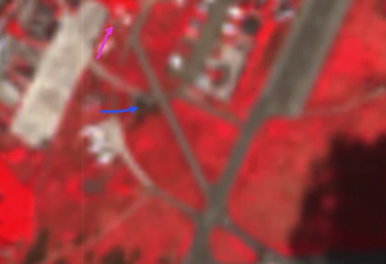 Изображение публикации 93bf1f5e-670a-45dd-9c50-f6265f3b9ecb