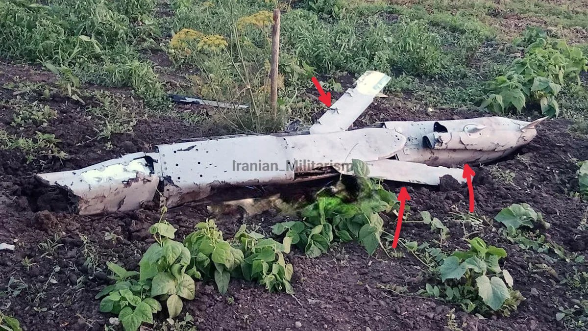 Изображение публикации b384f005-4ca5-4252-9673-6d5d3f6e80fe
