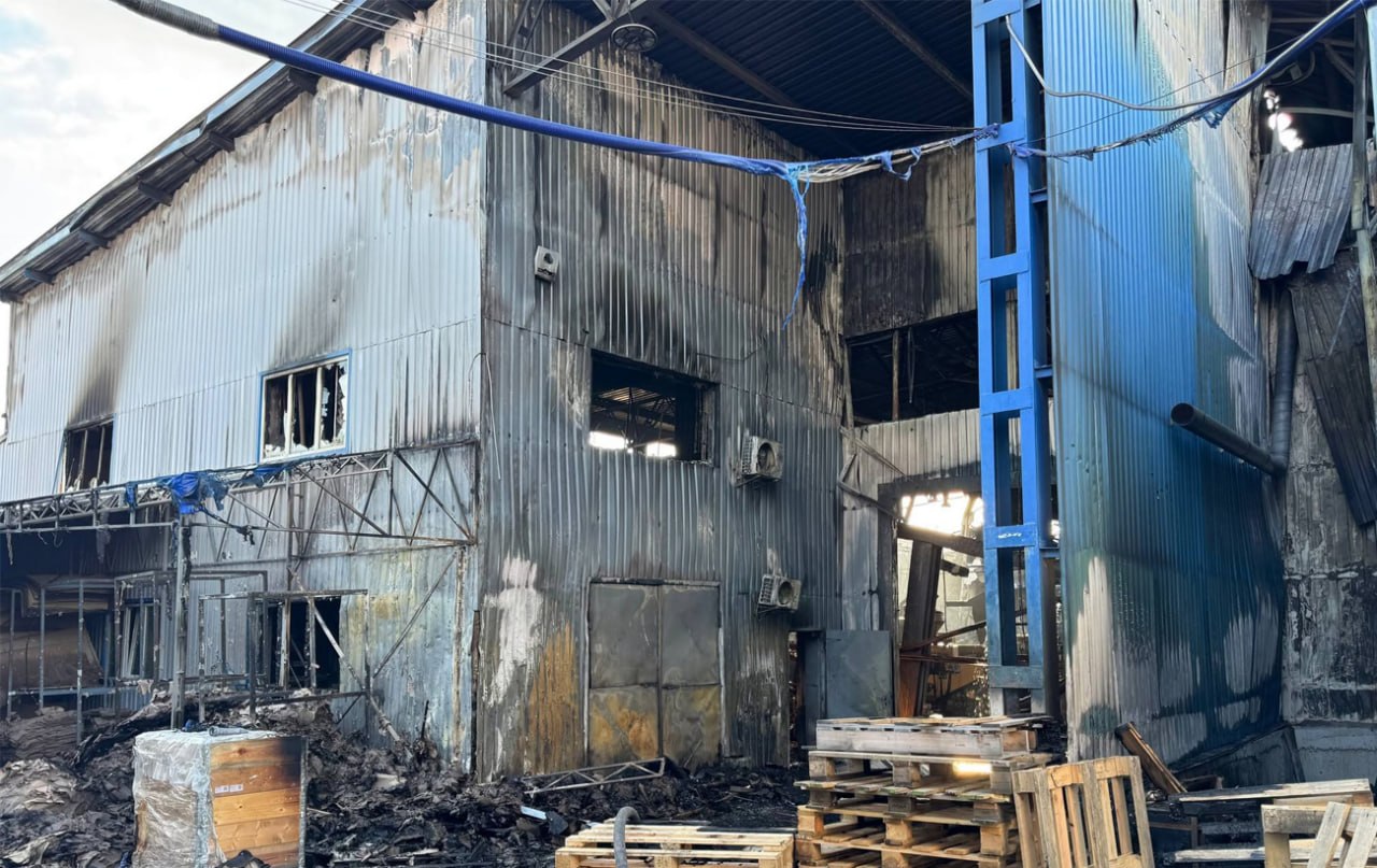 Изображение публикации e1007721-ca4b-484f-ab43-4462b58acdbe