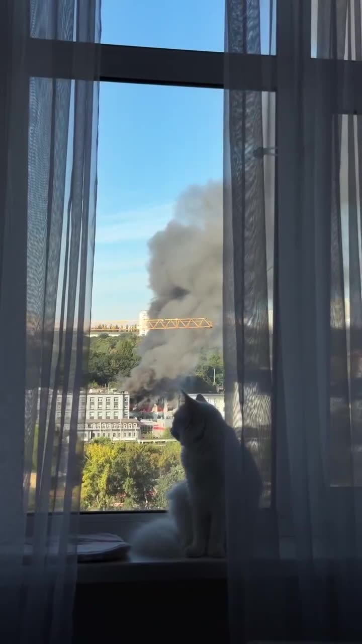 Превью видео