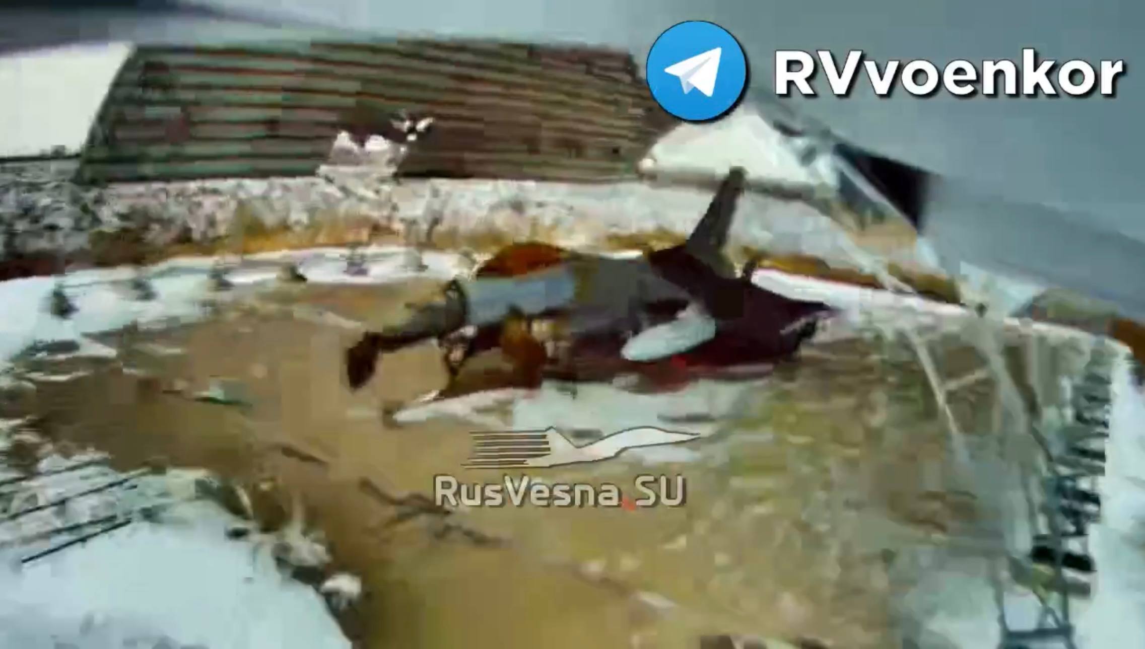 Изображение публикации 00749128-bd7c-420a-9d8a-307874d286c2