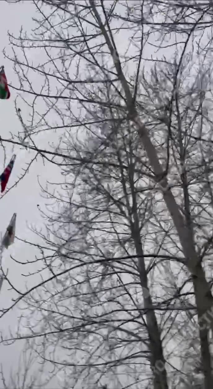Превью видео