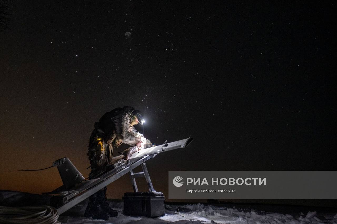 Изображение публикации 02a93231-dc5e-43b5-ae79-0f264bc185ed