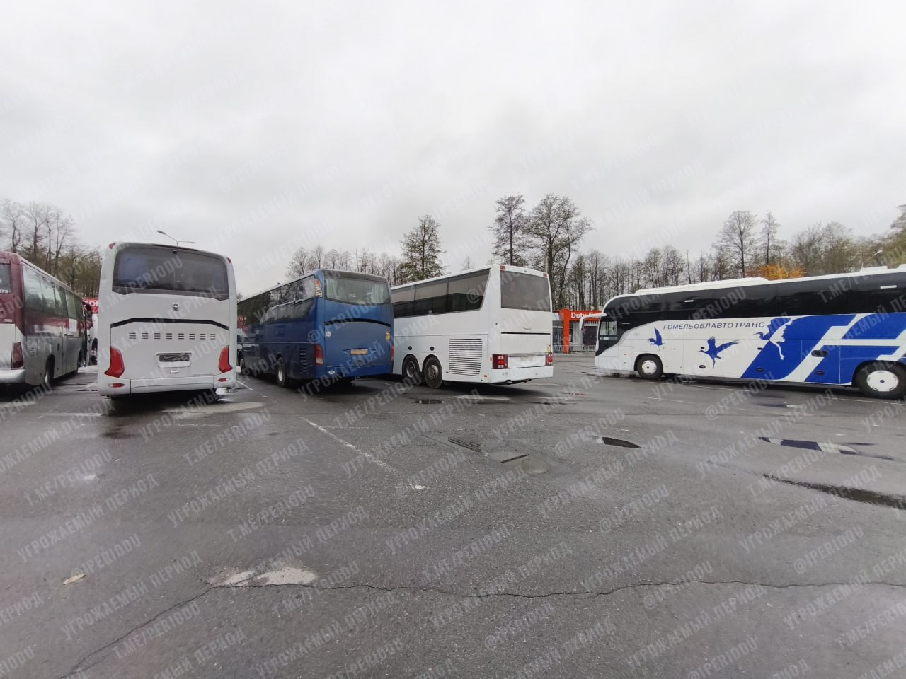 Изображение публикации 064d0ef7-9330-40c5-9eb4-b47b652d8bd7