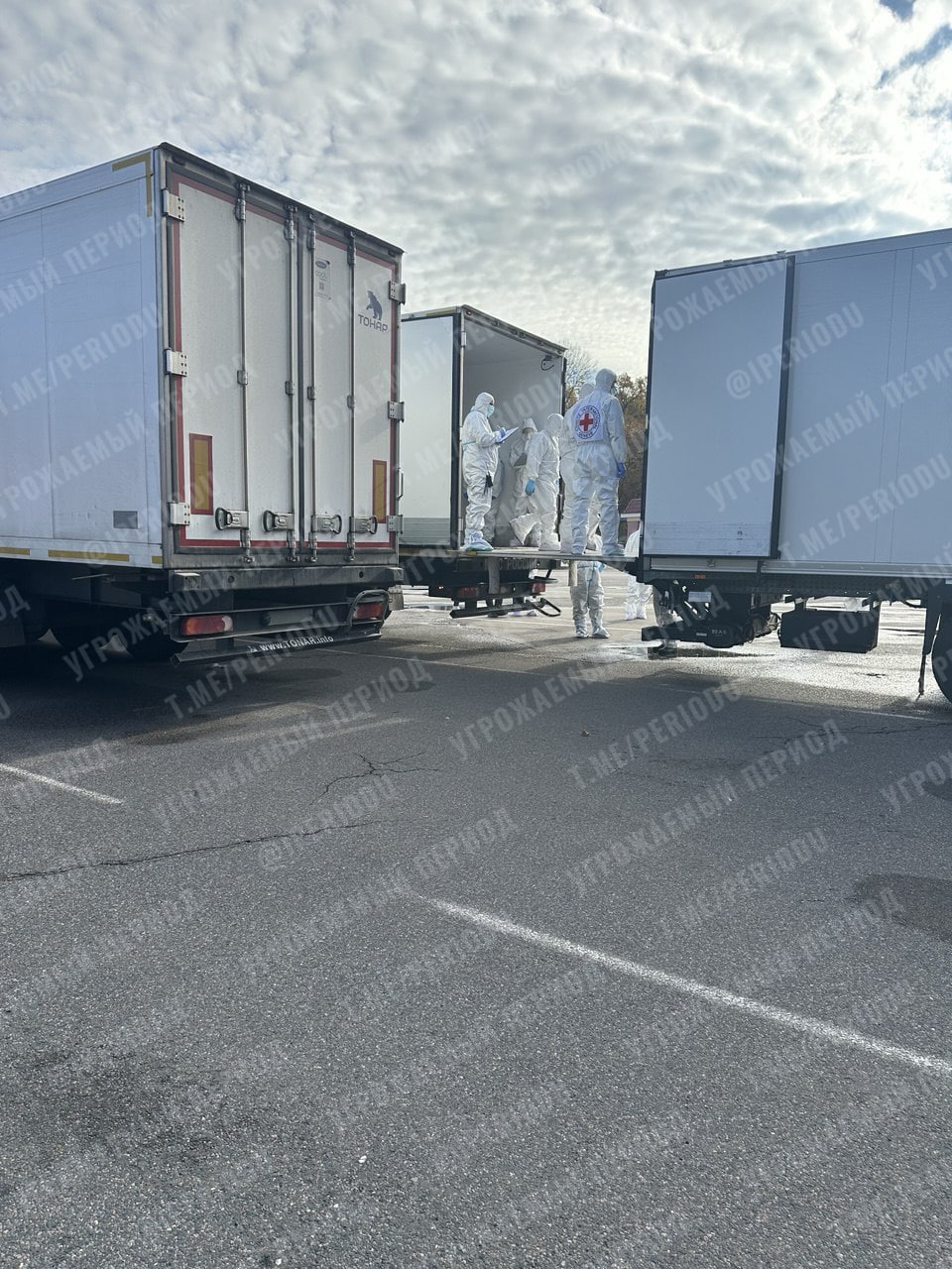 Изображение публикации 0b37d188-a529-41a9-8770-d0fe4b9c7634