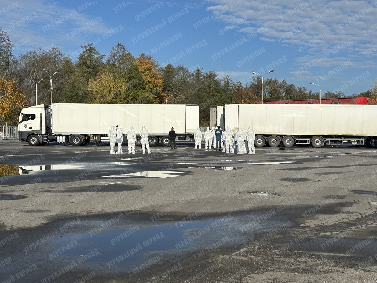 Изображение публикации 0b37d188-a529-41a9-8770-d0fe4b9c7634