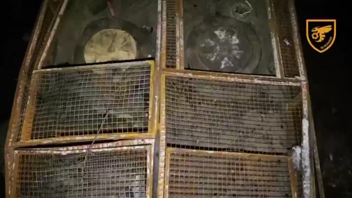 Превью видео