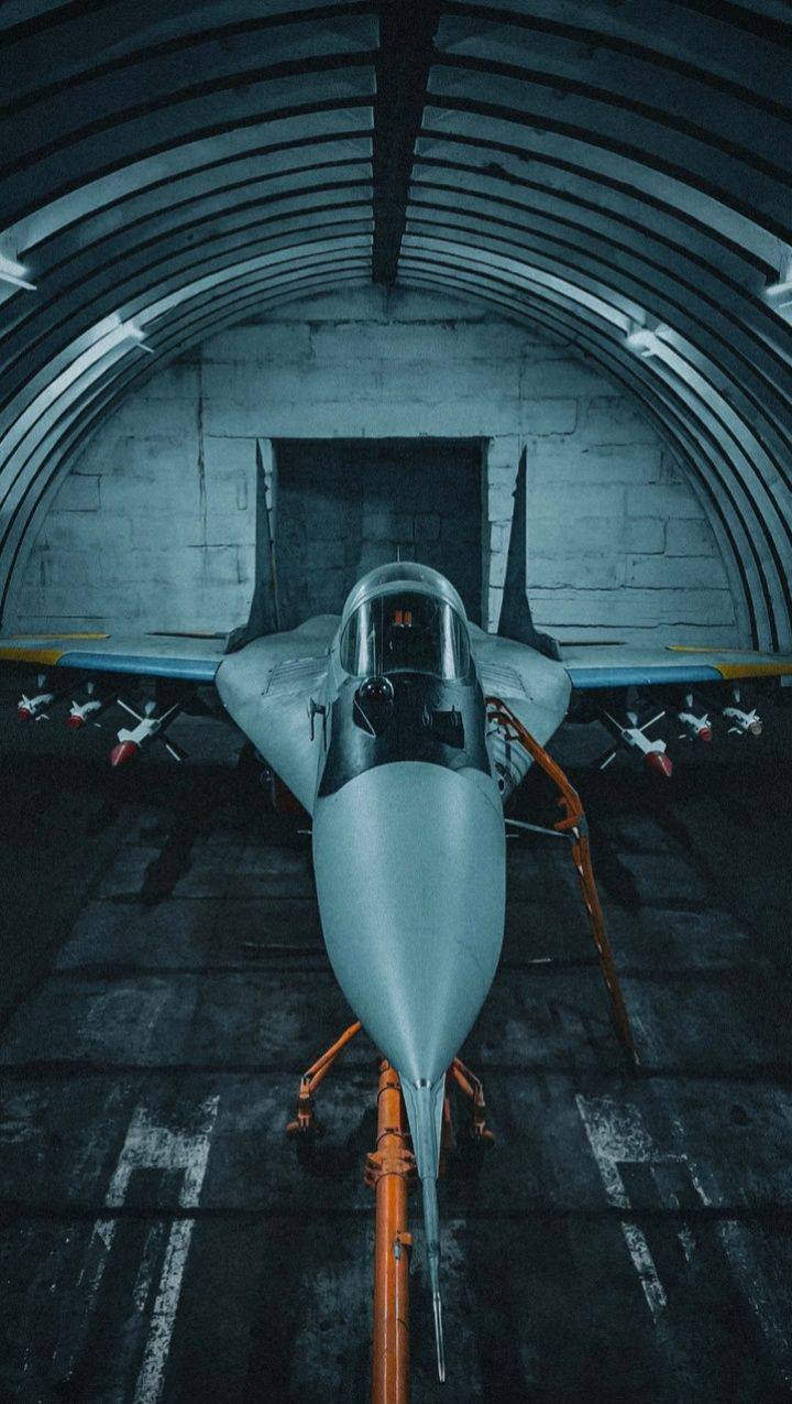 Изображение публикации 1c3e5898-2d71-4532-80e6-9d9f24920969
