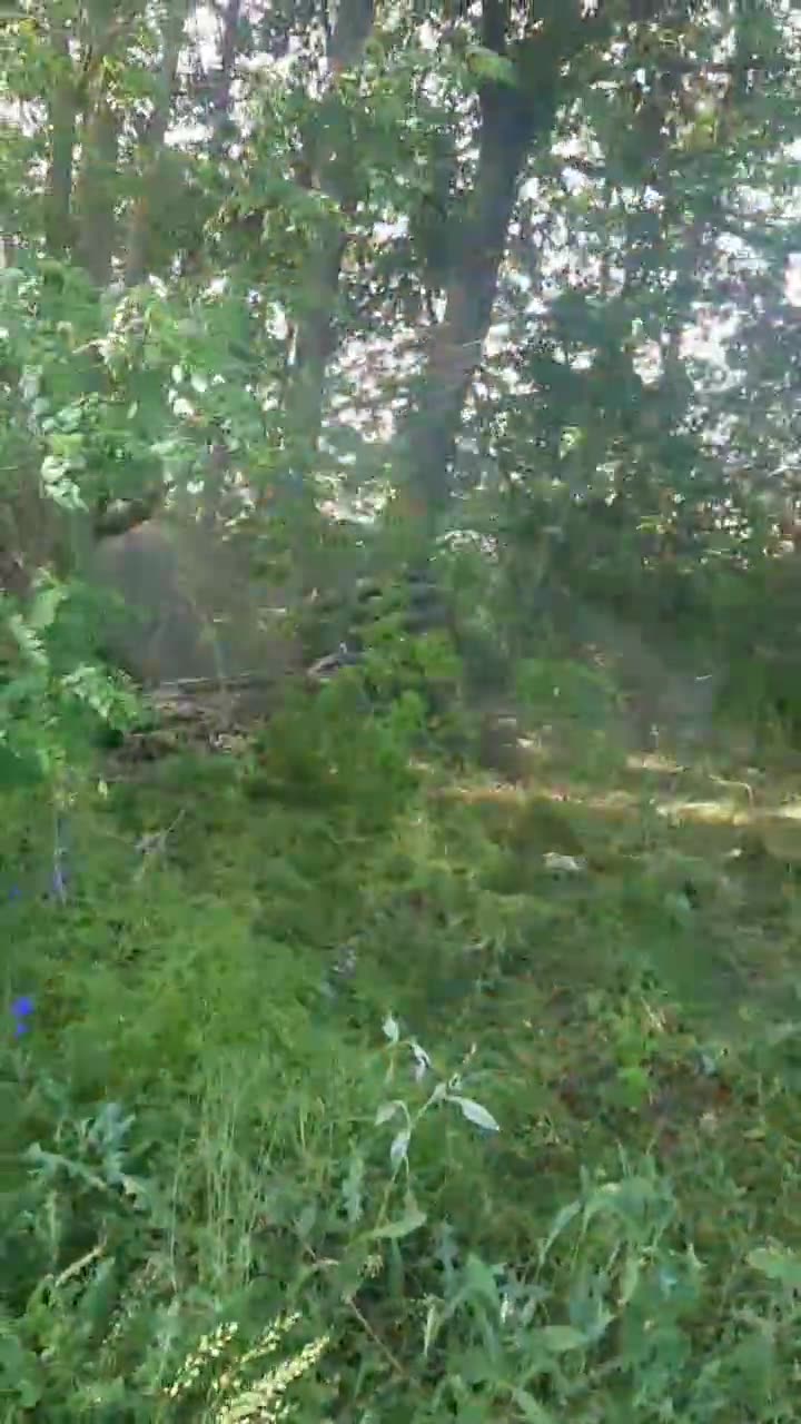 Превью видео