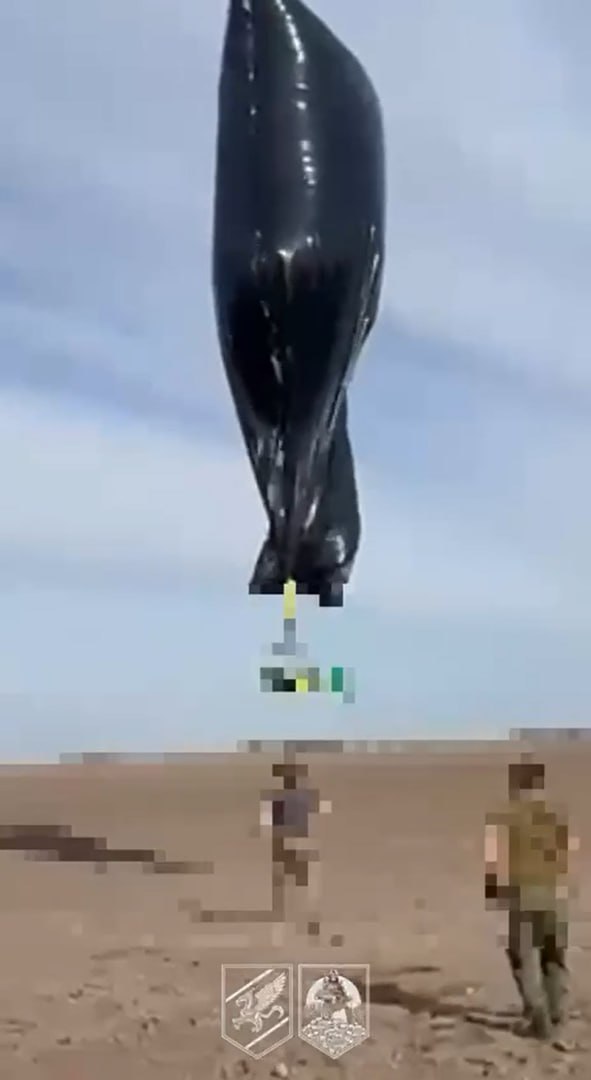 Изображение публикации 26f68cfd-4a83-4632-8570-66fdbaad91cb
