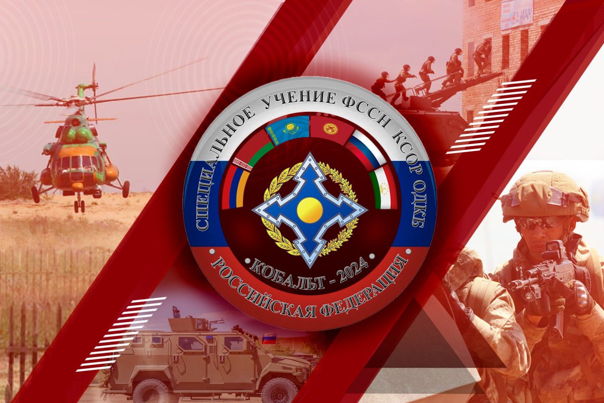 Изображение публикации 29eee8a4-1915-49f7-b861-121456711d06