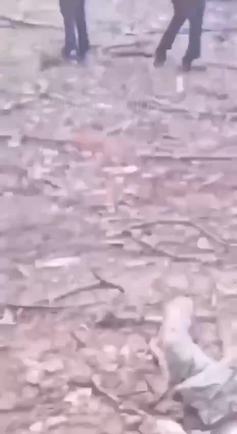 Превью видео