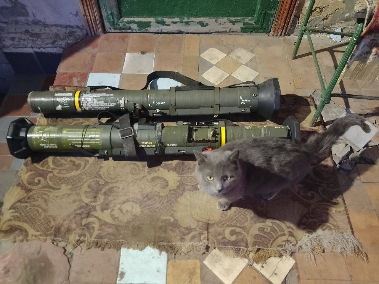 Изображение публикации 3f2ca412-0830-4727-b3db-54a465fc8d4b