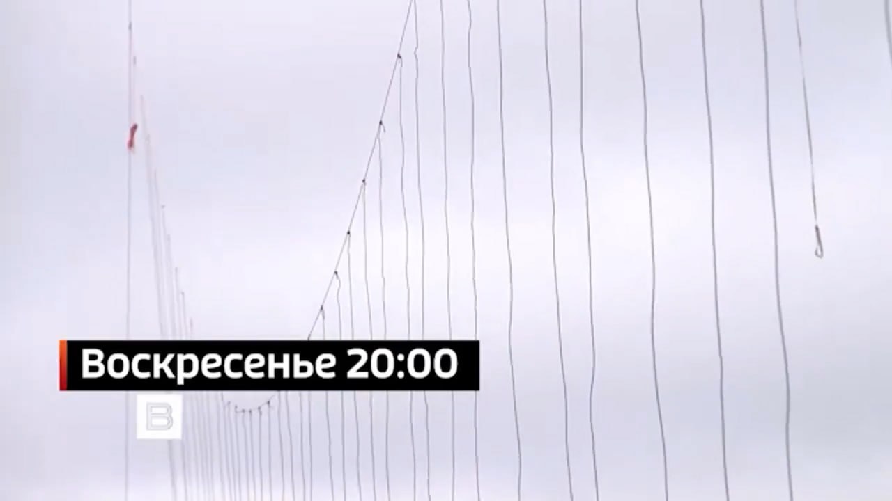 Изображение публикации 45e1a556-256c-403a-92c7-eb2da5d029b3