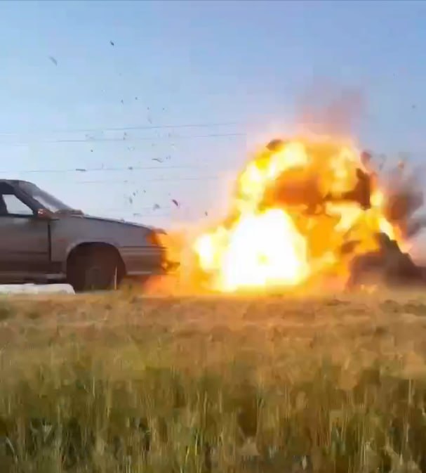 Изображение публикации 45ff1c8c-1d53-47ef-a26c-5c0d457337c8