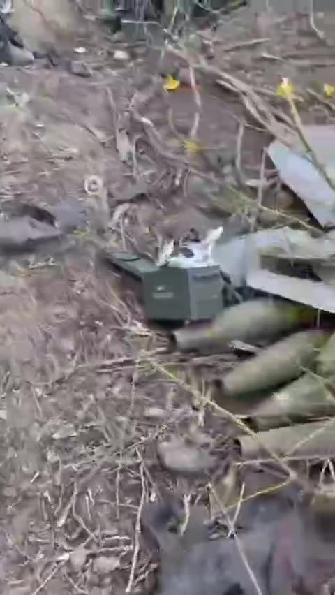 Превью видео