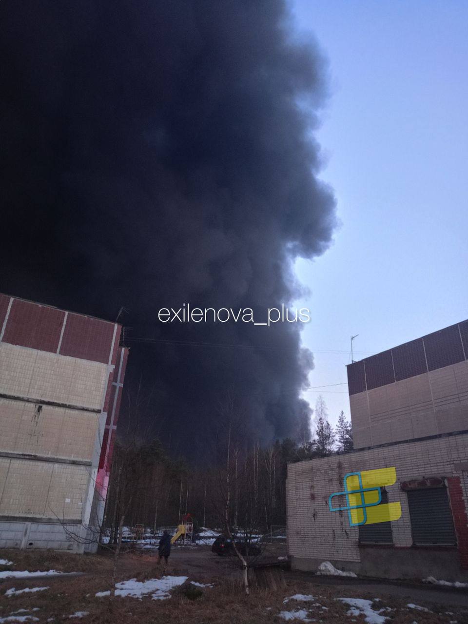 Изображение публикации 49f5f1cf-d804-472f-bda5-6be0907ca97c