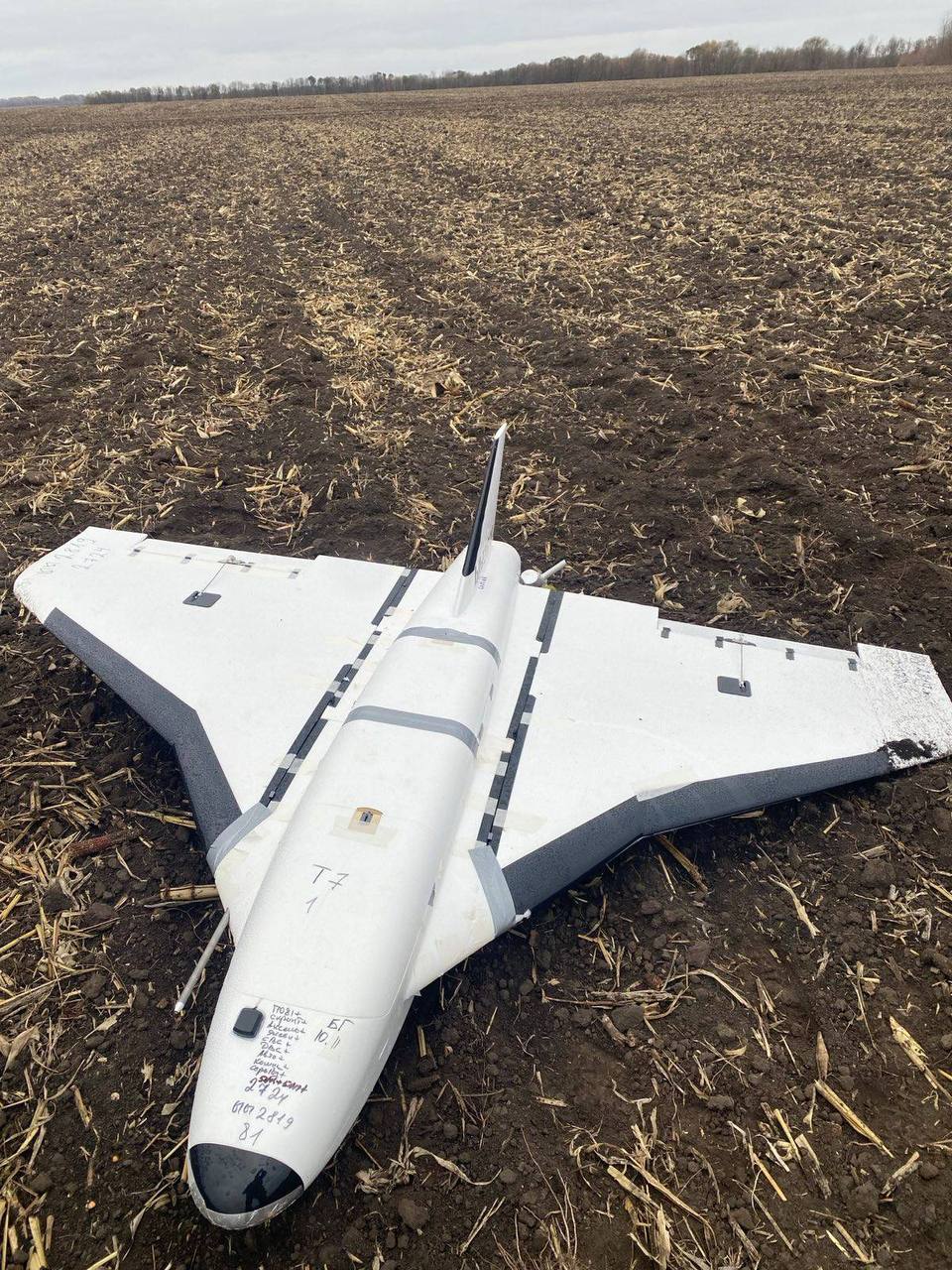 Изображение публикации 4f22f336-9da2-4dd2-b3ca-fbfb818fdcba