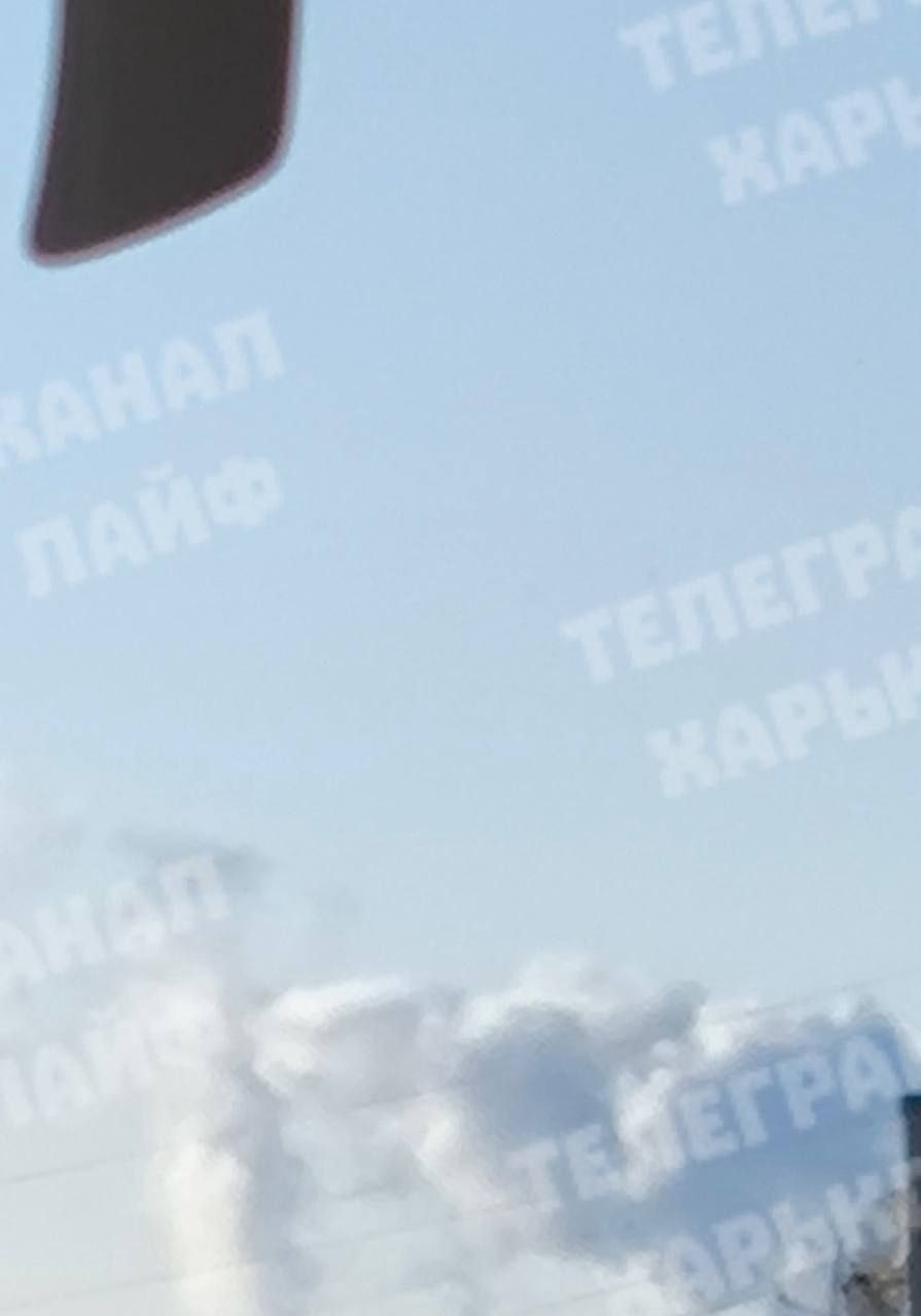 Изображение публикации 51a8f8fe-707e-44f0-8aa0-c08309bd01d0