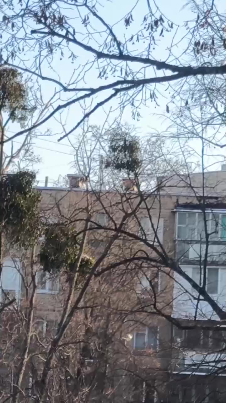 Превью видео