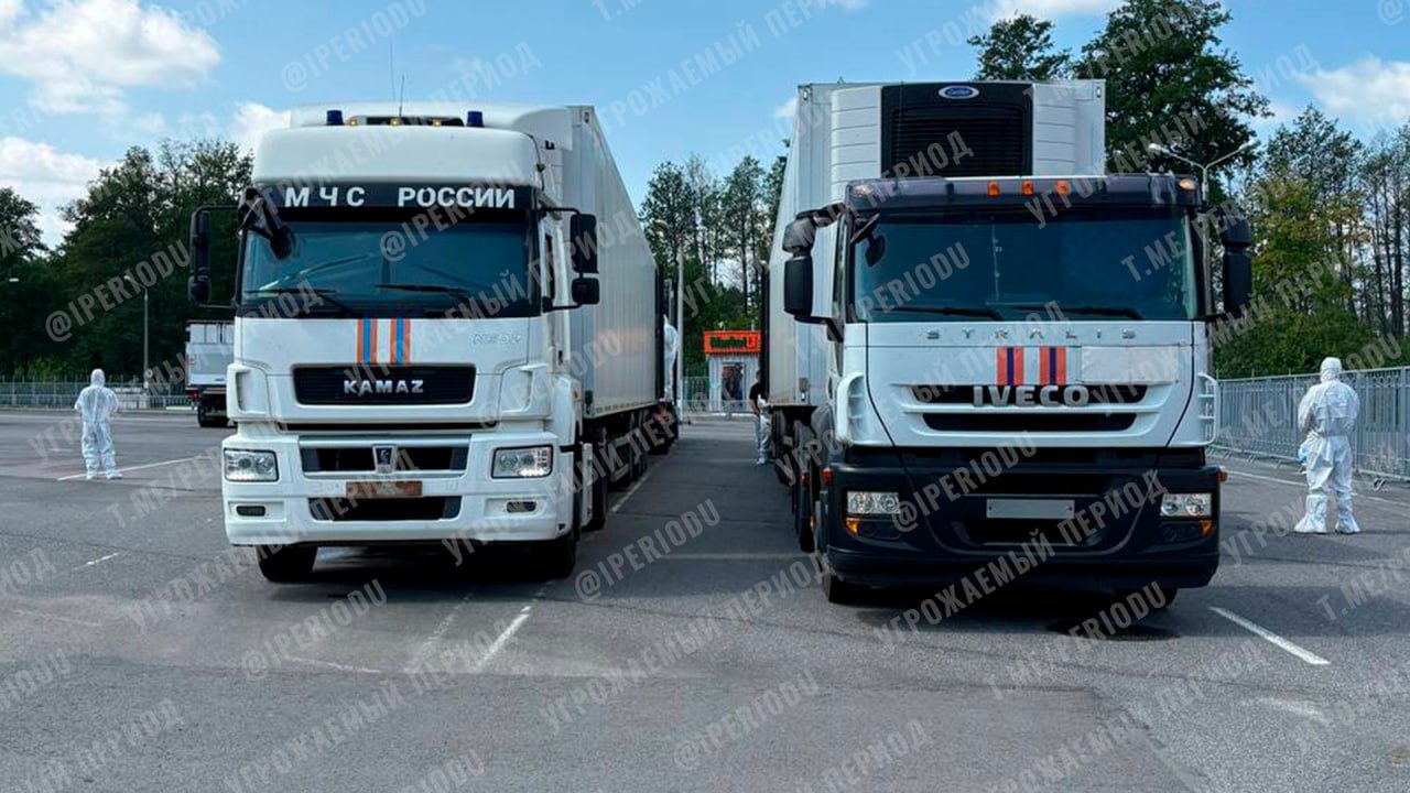 Изображение публикации 547ad781-2db2-4128-b2fc-117b0f9b57fa