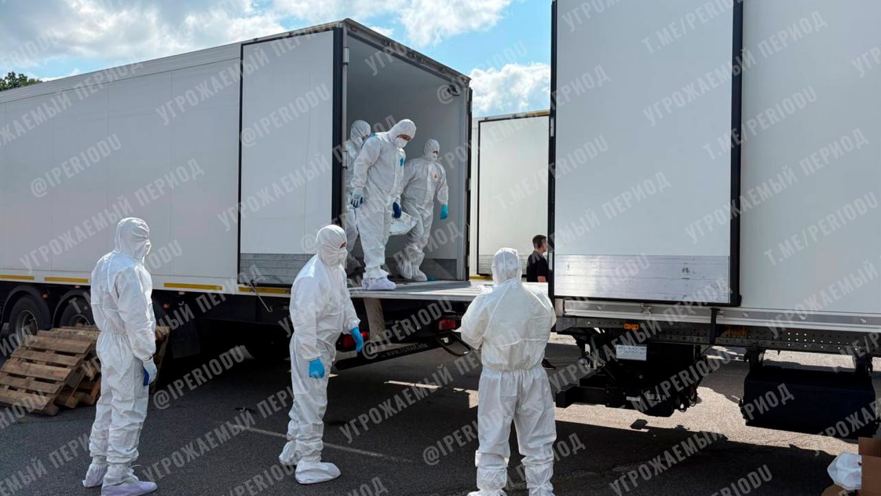 Изображение публикации 547ad781-2db2-4128-b2fc-117b0f9b57fa