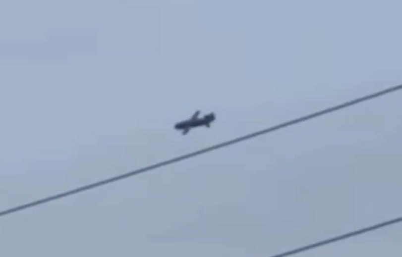 Изображение публикации 63309d0f-809c-4b1d-9758-a90fe840f0cd