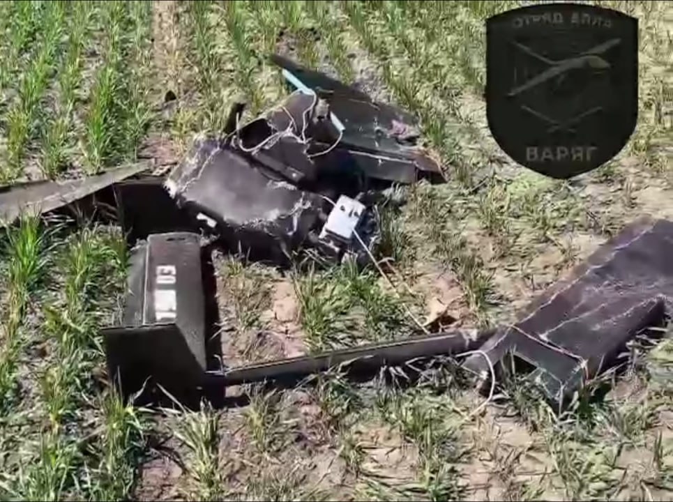 Изображение публикации 6392036e-a8d8-4705-988a-9817529de587