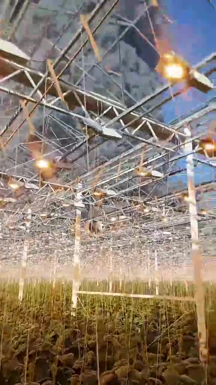 Превью видео