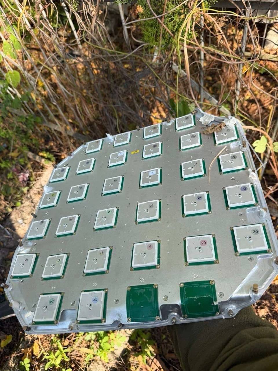 Изображение публикации 6bfaca90-d806-43a8-90a6-73f1ac88dcad