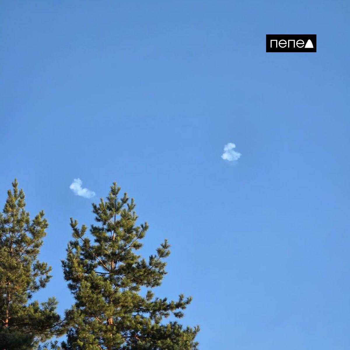 Изображение публикации 7419abfb-80ad-4e48-82d9-d417bb62ff58