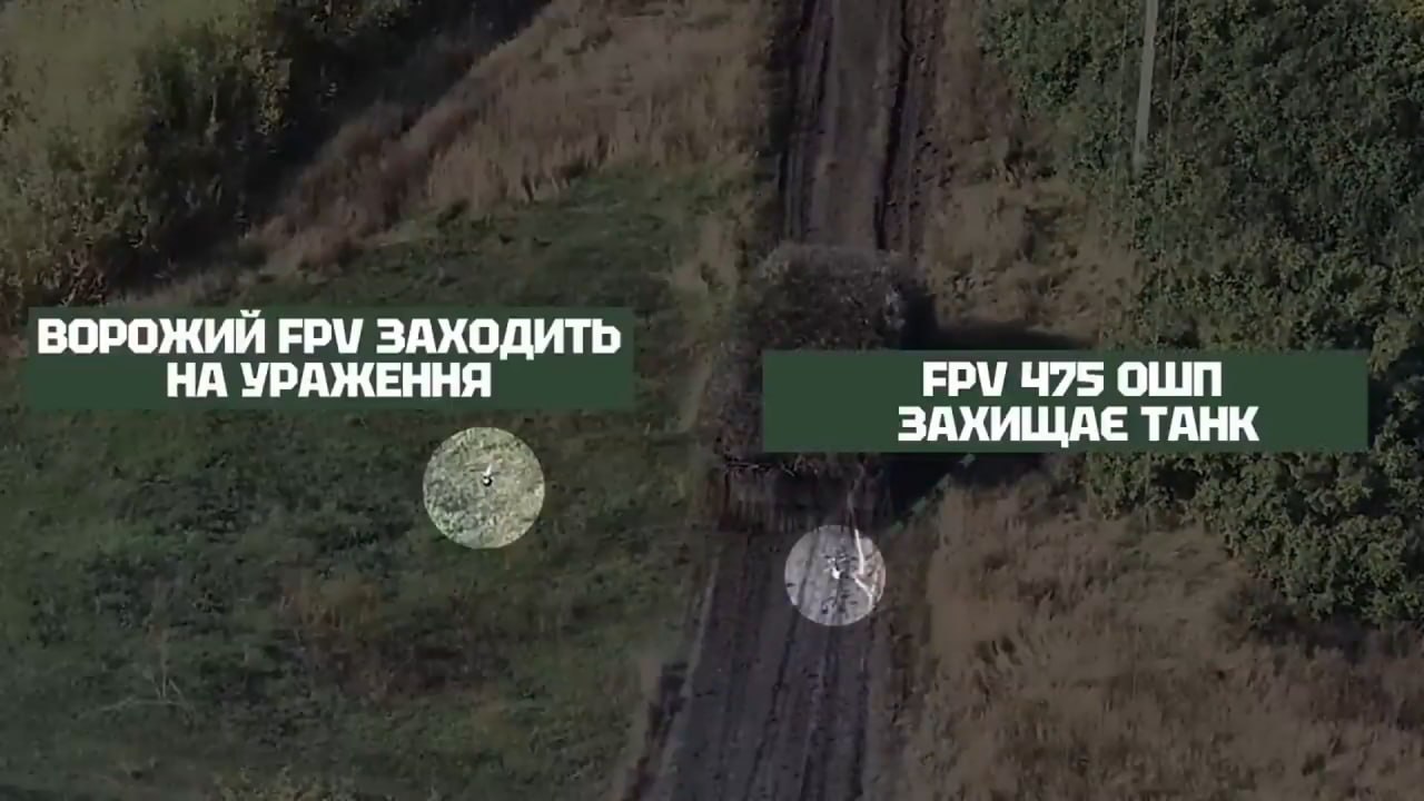 Изображение публикации 7fa28da3-69b6-4b2d-b0a0-7c6d8674db4b