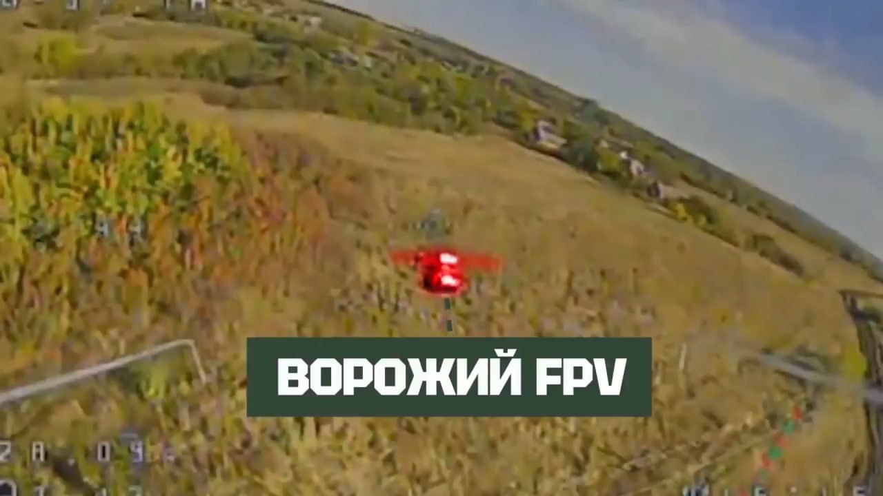 Изображение публикации 7fa28da3-69b6-4b2d-b0a0-7c6d8674db4b