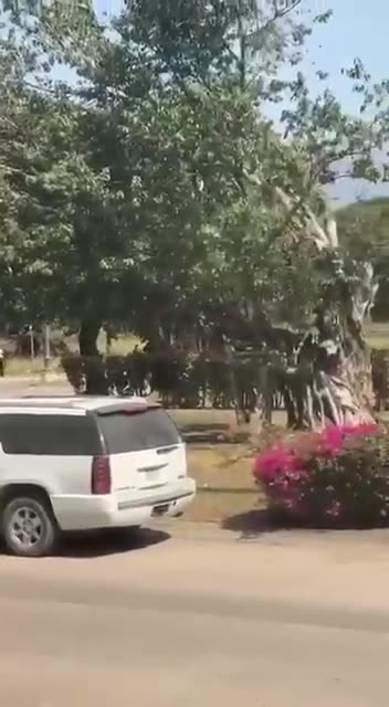 Превью видео