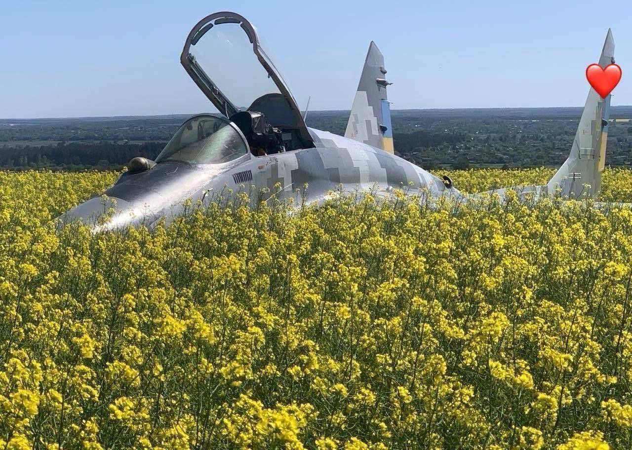 Изображение публикации 84b26258-a062-4489-9421-2577b57e1563