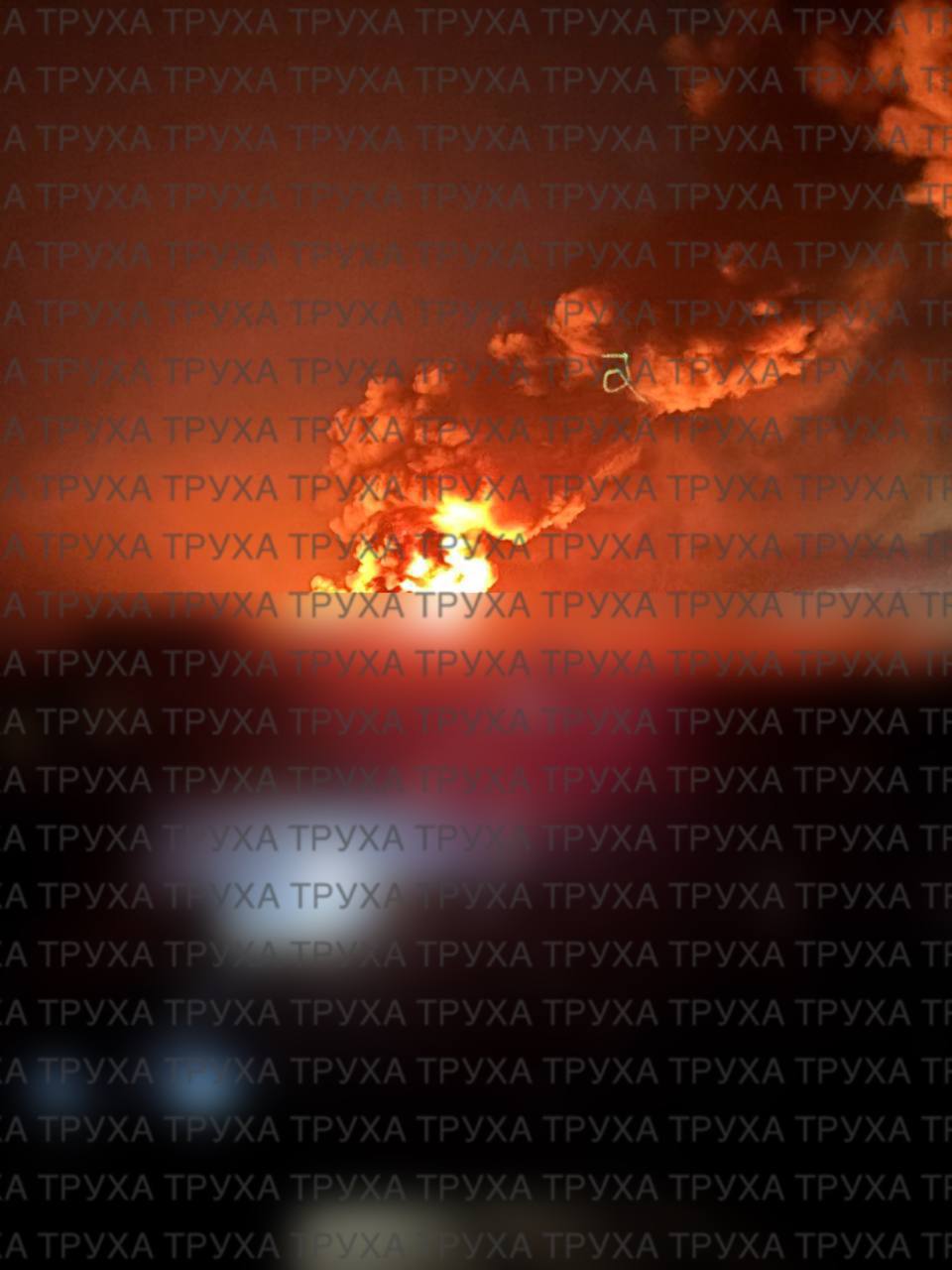 Изображение публикации 86e027ec-5179-4fb2-94ff-8433de8a39dd
