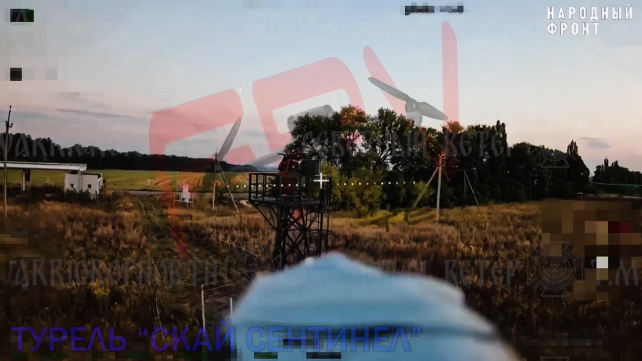 Изображение публикации 877be410-5c93-4bfb-8b63-932042dd62ce
