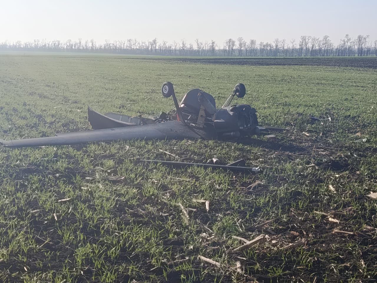 Изображение публикации 93d3d54d-f624-4573-82f2-5bdc77ef60d2