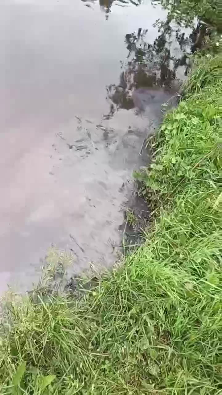 Превью видео