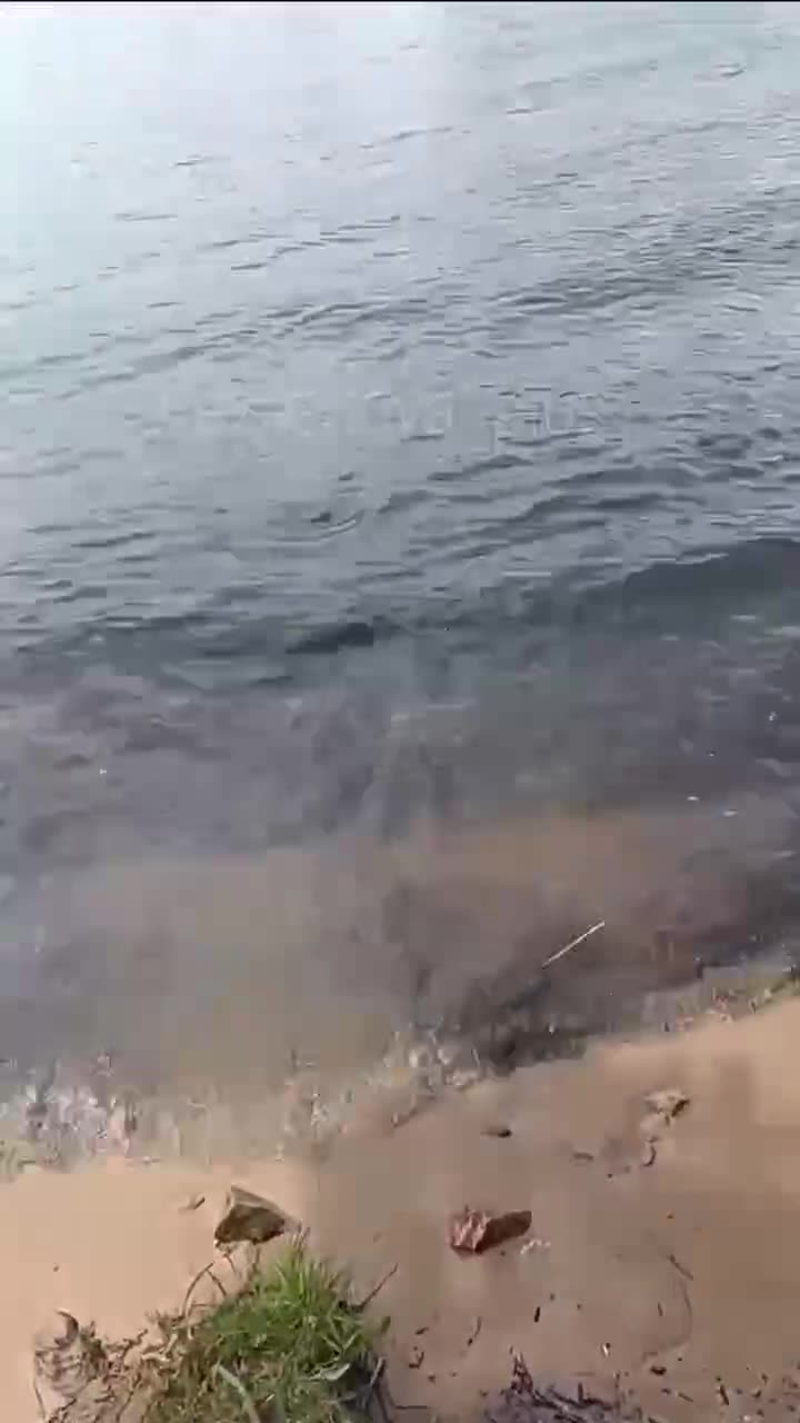 Превью видео