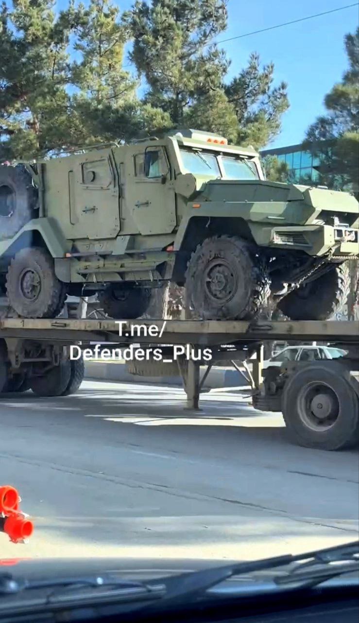 Изображение публикации 9ad4dafe-e75a-475f-841d-a2060de6f447