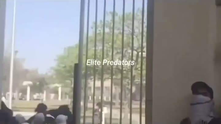 Превью видео