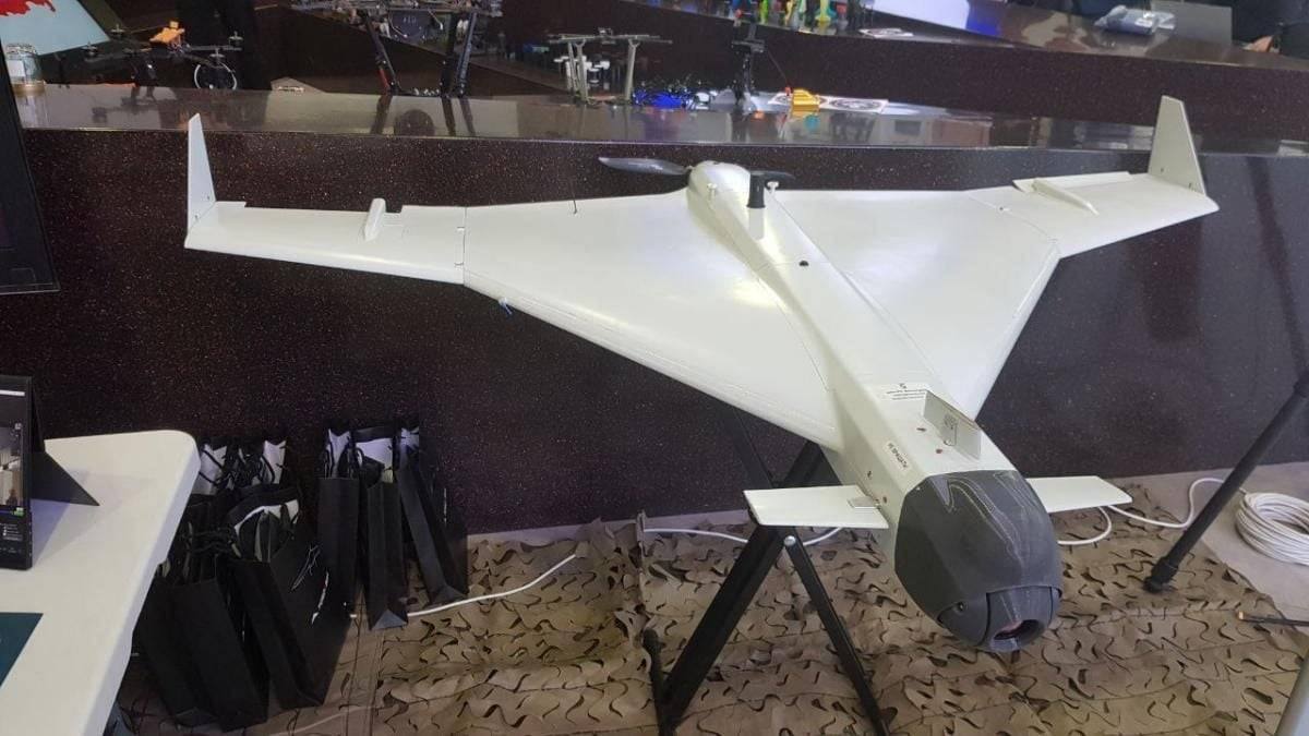 Изображение публикации af248d26-741b-4129-8361-a35eed509430